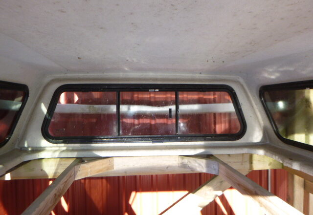 Athletes Who Have Overcome Adversity